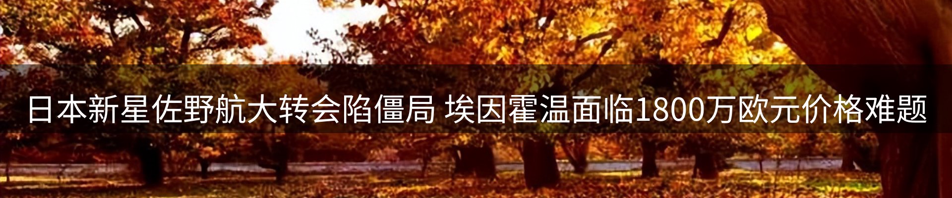 新闻资讯