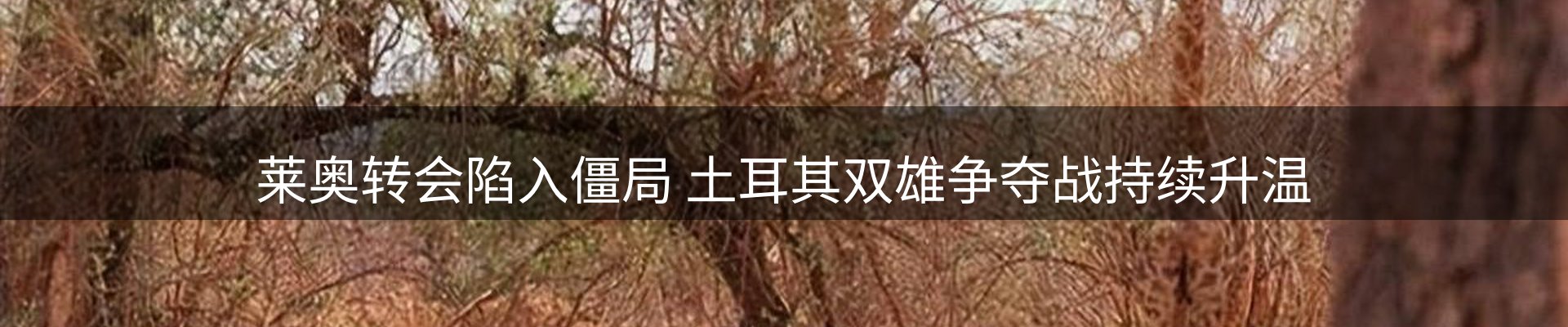 新闻资讯
